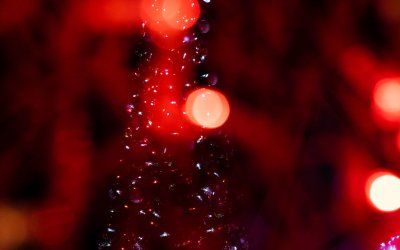 Elle l&rsquo;a fait !! 1er prix créateur pour Vanessa Malet et son innovation « mon carré doux ».