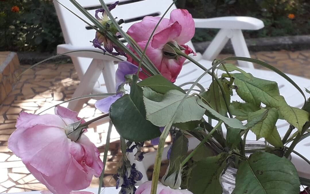 Une rose s’en est allée 🌷. Hommage.