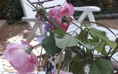 Une rose s’en est allée 🌷. Hommage.