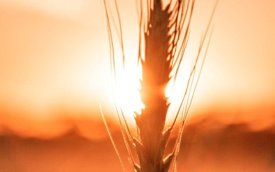 Le jour où je me suis aimé(e) pour de vrai