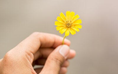 Résilience.care : l&rsquo;interview avec Cikkatriss